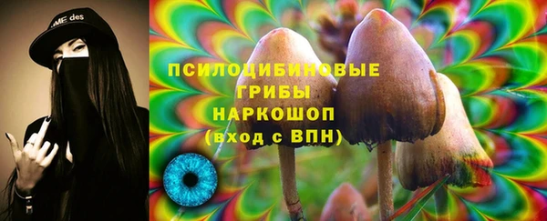не бодяженный Аркадак